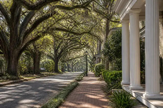 Mature oak canopy arching above a quiet Macon street and brick sidewalk