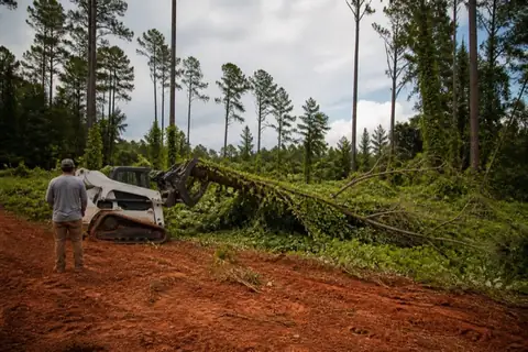 Selective tree clearing on wooded Middle Georgia acreage with retained pines and exposed red clay